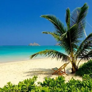 https://brand-new-kailua-beach.hotelsinhawaii.org