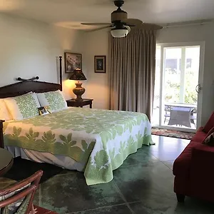 https://hale-pua-villa-seaside-studio.hotelsinhawaii.org